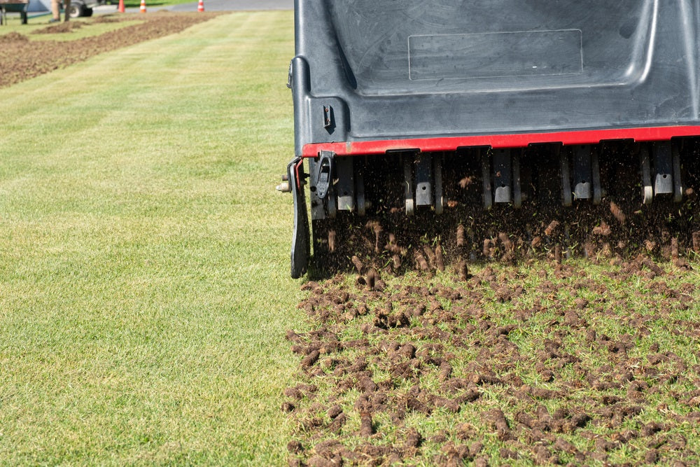 Aeration & Overseeding (Clay Soil Focus)