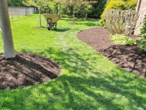 Clean-Ups & Mulching​