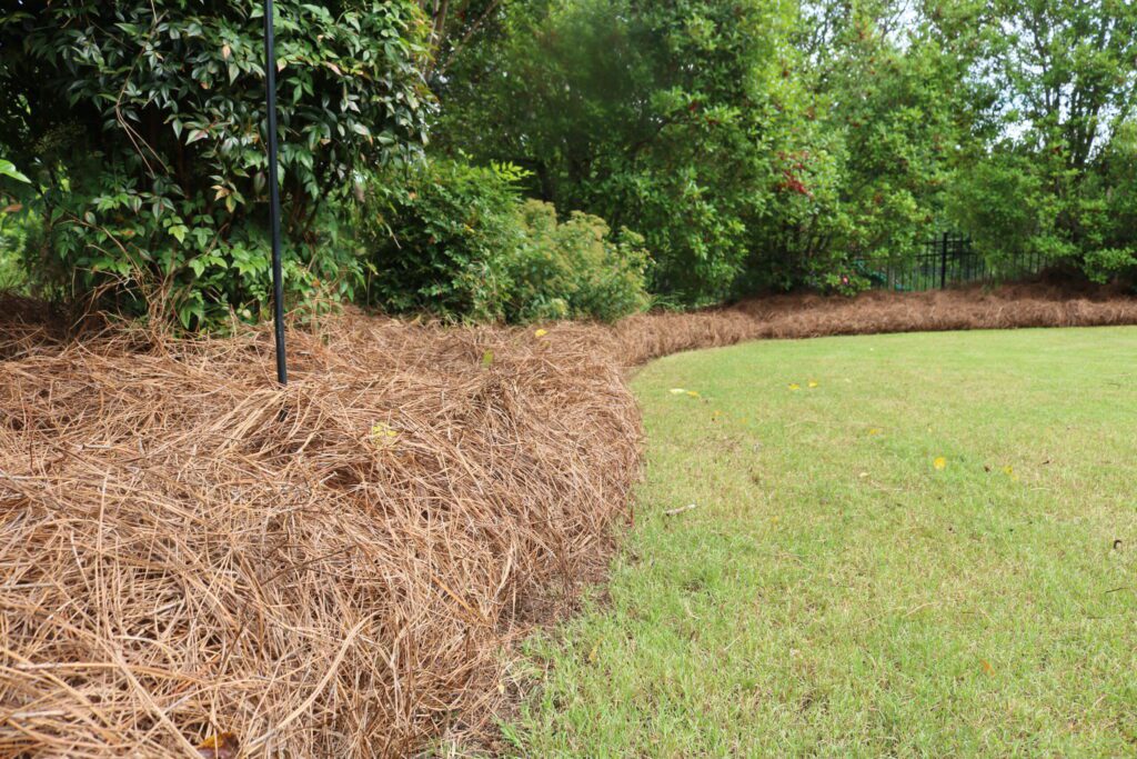 Commercial Pine Needle Installation