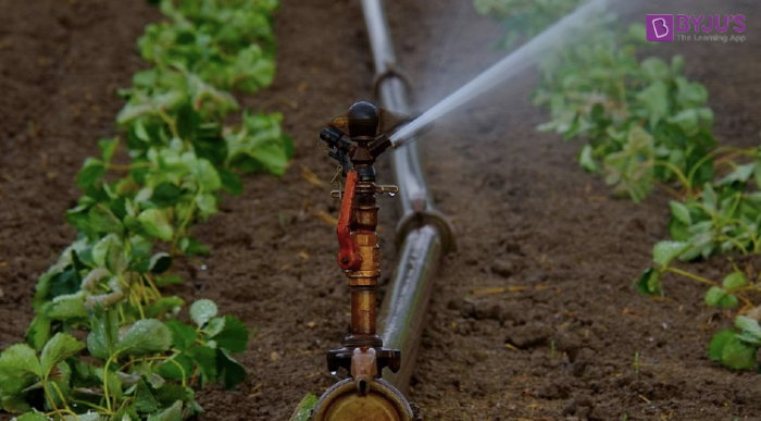 Irrigation Guidance & Water Management