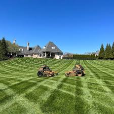 Lawn Mowing & Precision Maintenance