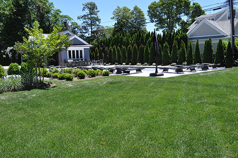 Lawn Renovation & Renovation Projects
