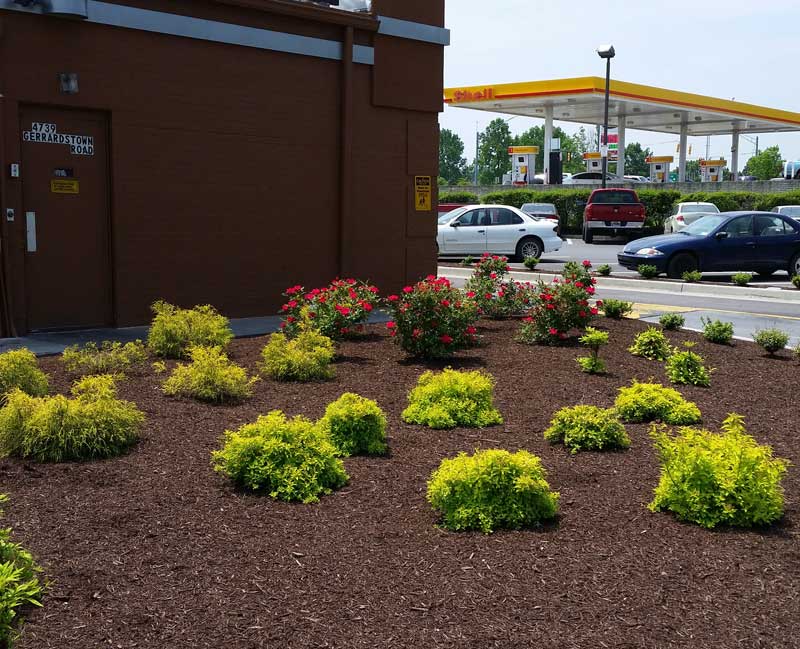 Seasonal Programs & Commercial Maintenance