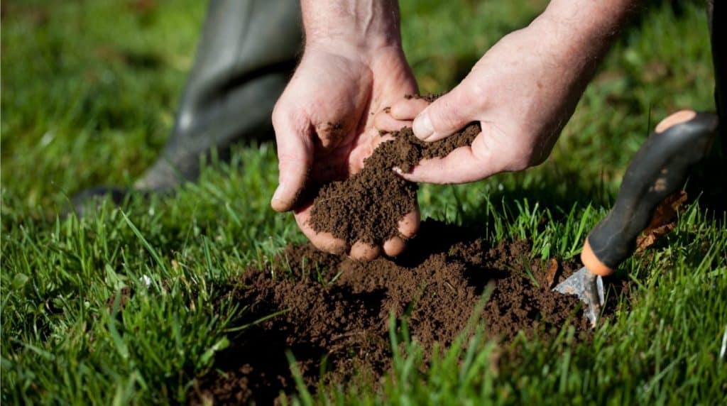 Soil Testing & Lawn Health Plans