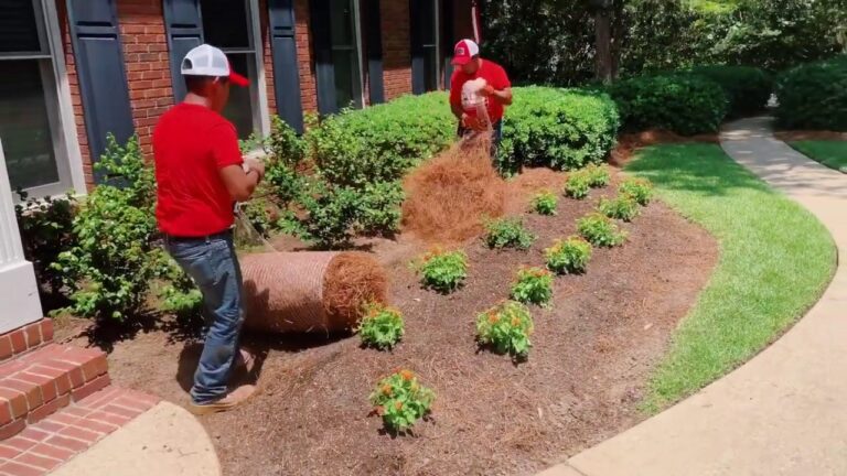 pine needle installation service 2