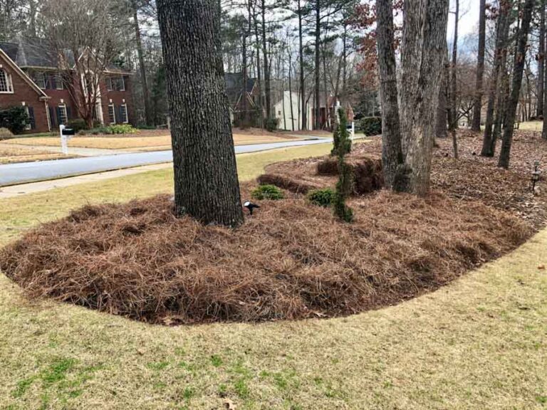 pine needle installation service 3