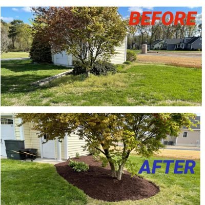 Landscaping Kernersville NC before and after 7